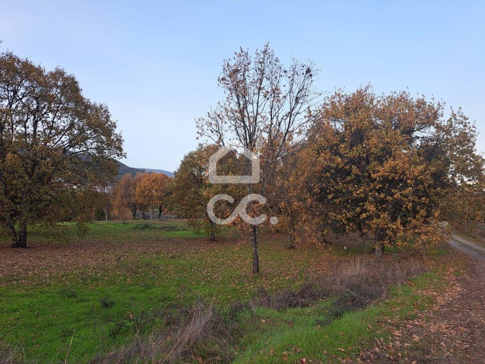 Helårsgrund i Covilha, Castelo Branco - foto 2