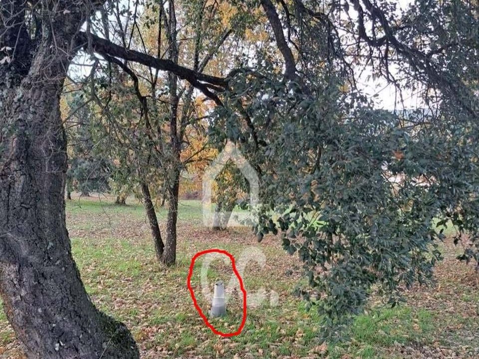 Helårsgrund i Covilha, Castelo Branco - foto 3
