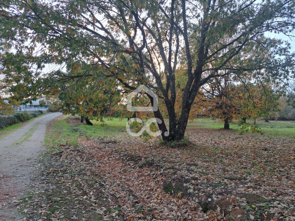 Helårsgrund i Covilha, Castelo Branco - foto 4