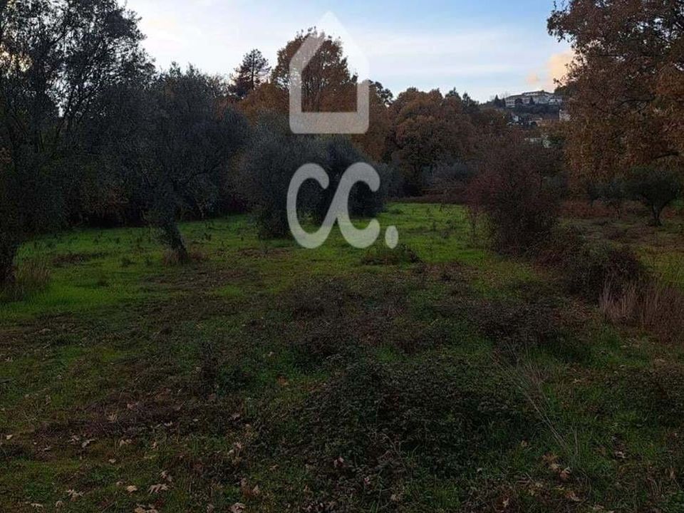 Helårsgrund i Covilha, Castelo Branco - foto 5