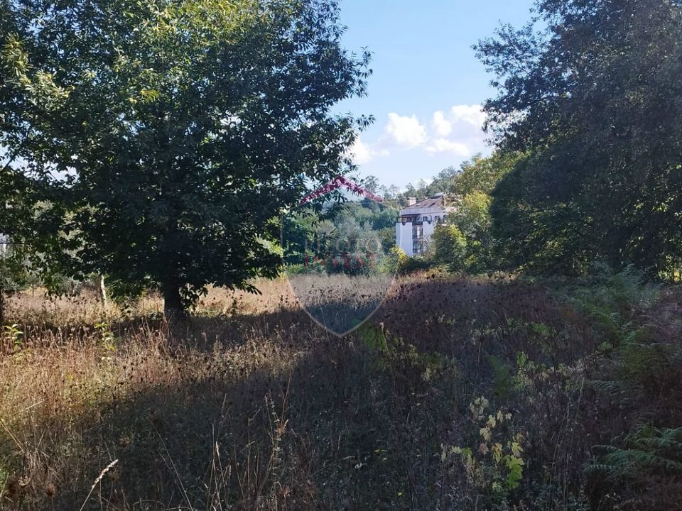 Helårsgrund i Viseu, Viseu - foto 4