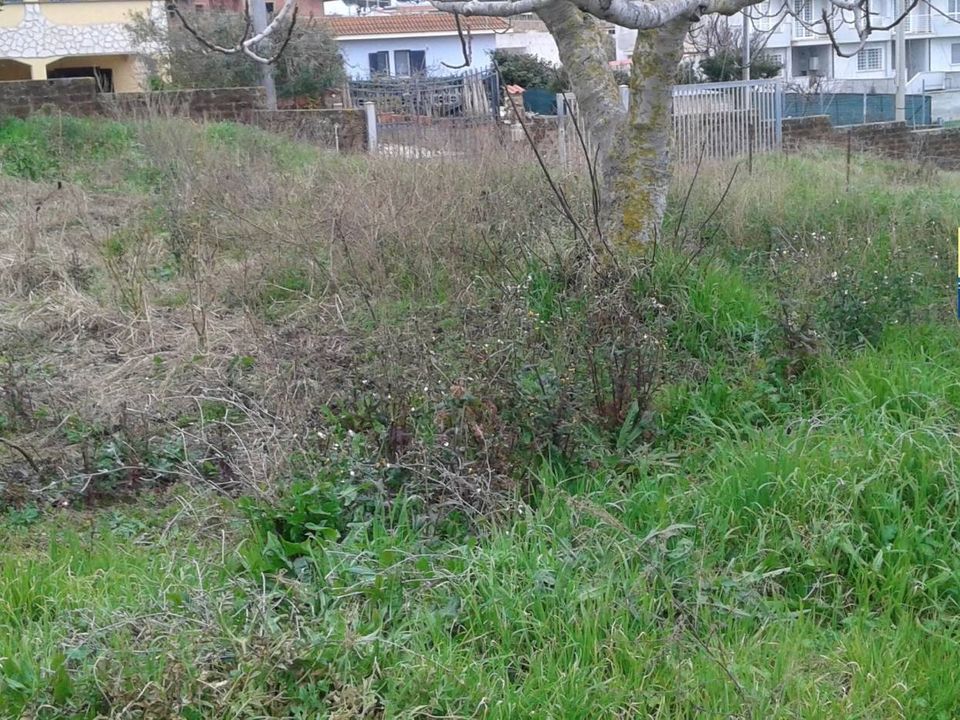 Helårsgrund i Anzio, Rome - foto 3