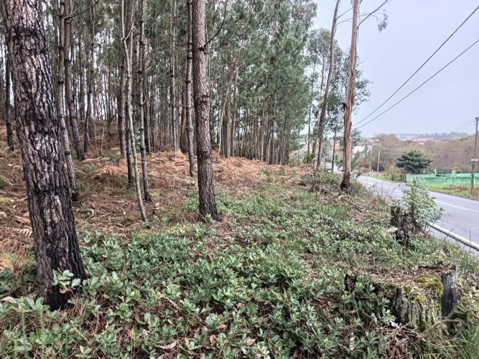 Terreno en Eixo e Eirol, Aveiro - foto 3
