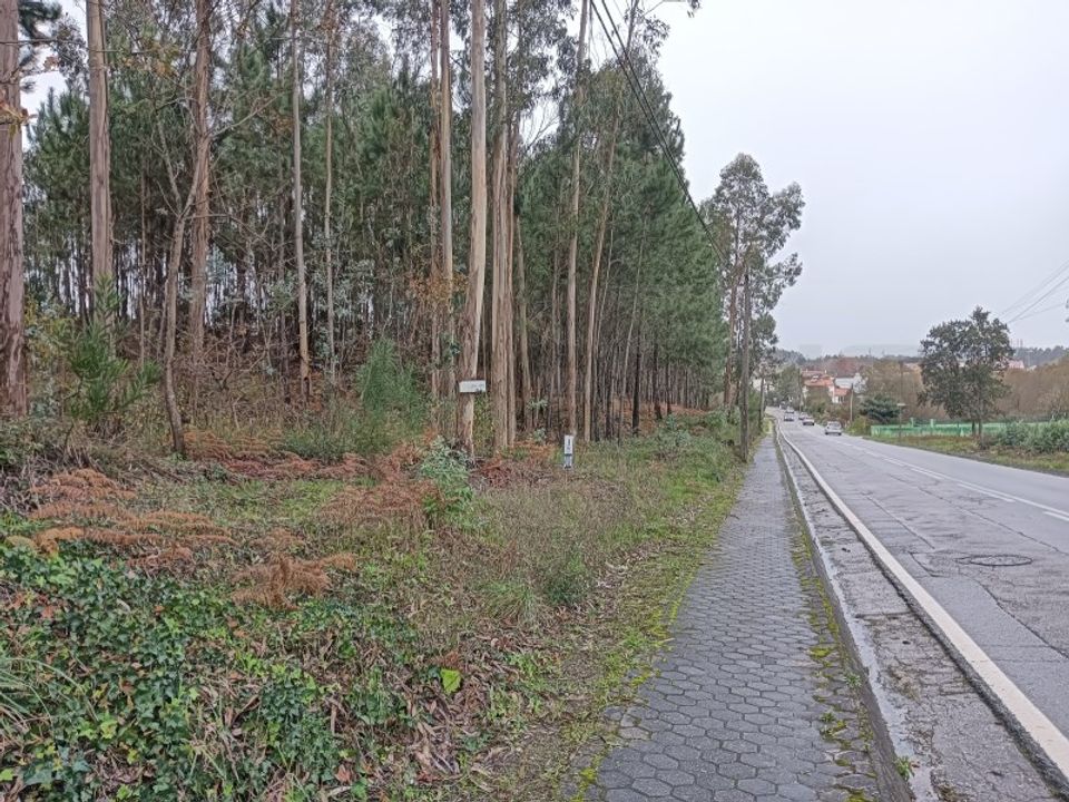 Terreno en Eixo e Eirol, Aveiro - foto 4
