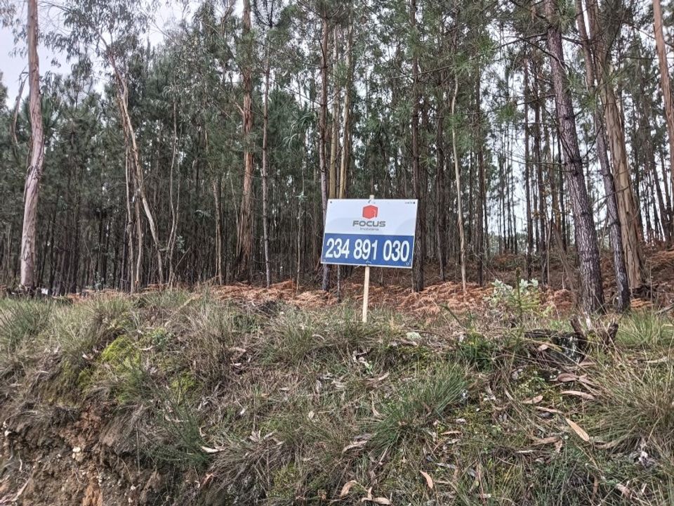 Terreno en Eixo e Eirol, Aveiro - foto 5