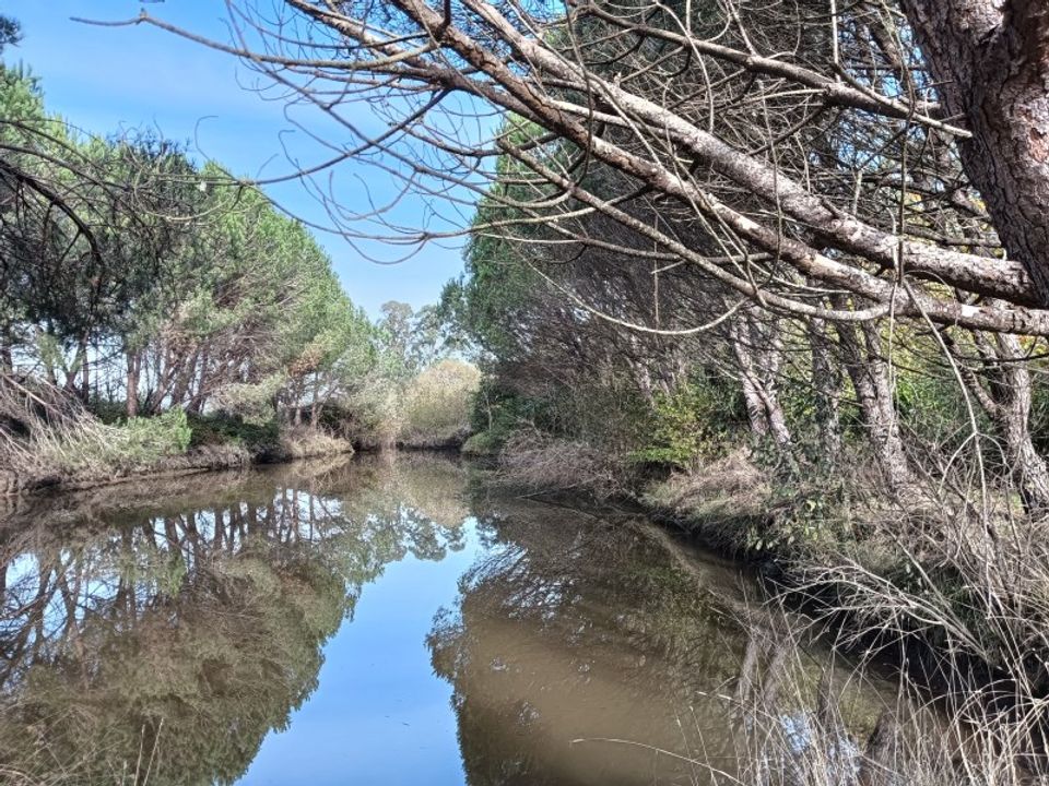 Helårsgrund i Arouca, Aveiro - foto 1
