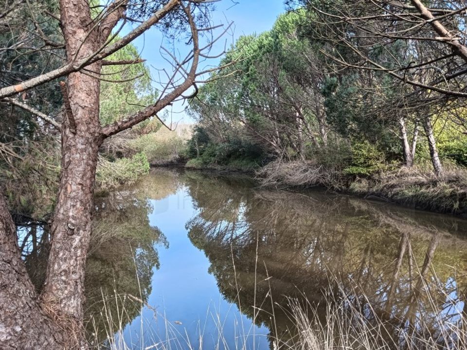 Helårsgrund i Arouca, Aveiro - foto 2
