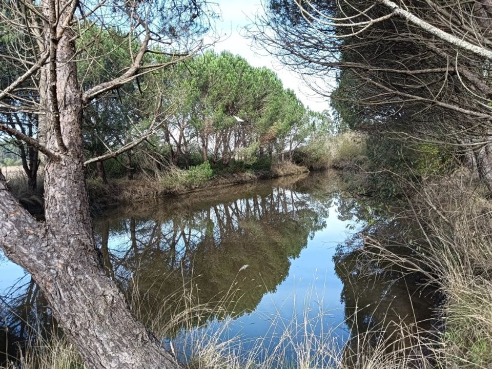 Helårsgrund i Arouca, Aveiro - foto 3