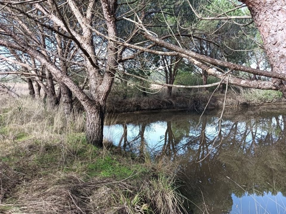 Helårsgrund i Arouca, Aveiro - foto 4