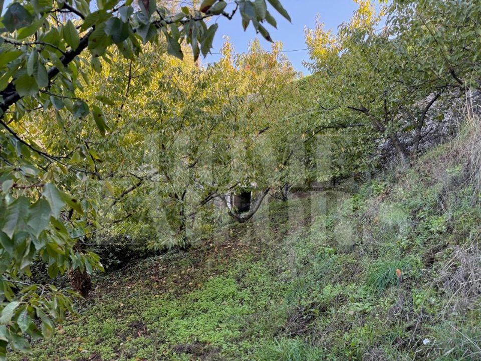 Helårsgrund i Barro, Aveiro - foto 5