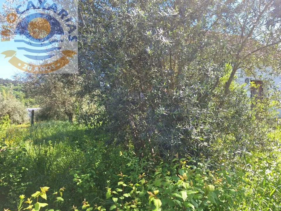 Villa i Ourem, Santarem - foto 4