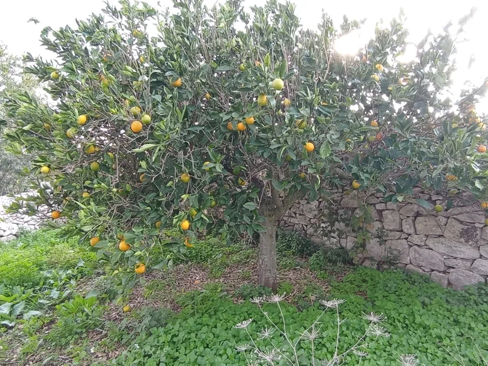 Villa i Ragusa, Ragusa - foto 5