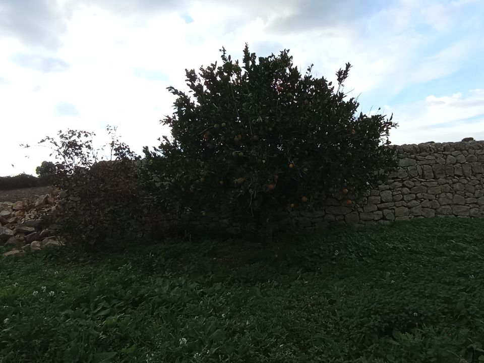 Villa i Ragusa, Ragusa - foto 3