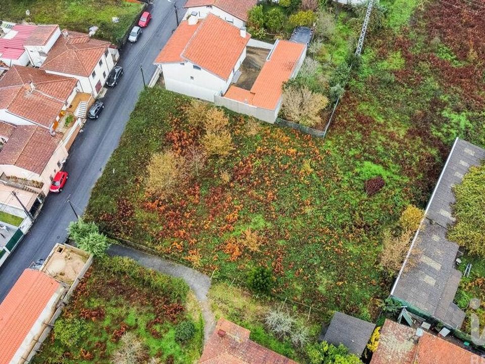 Terra em Oliveira de Azemeis, Aveiro - foto 4