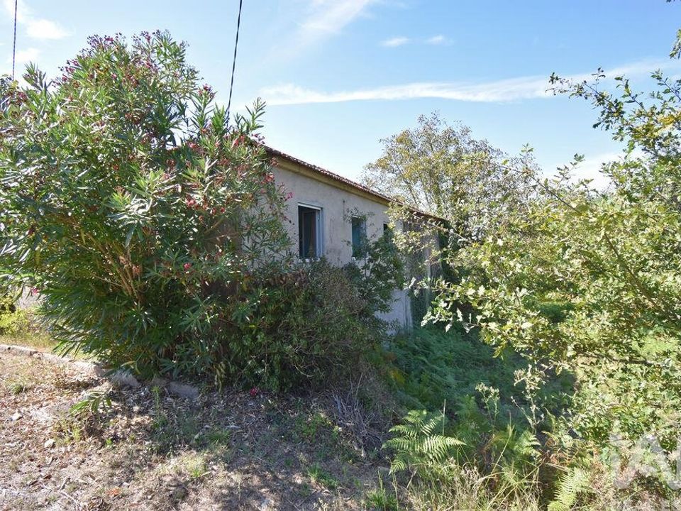 Casa de pueblo en Penela, Coimbra - foto 4