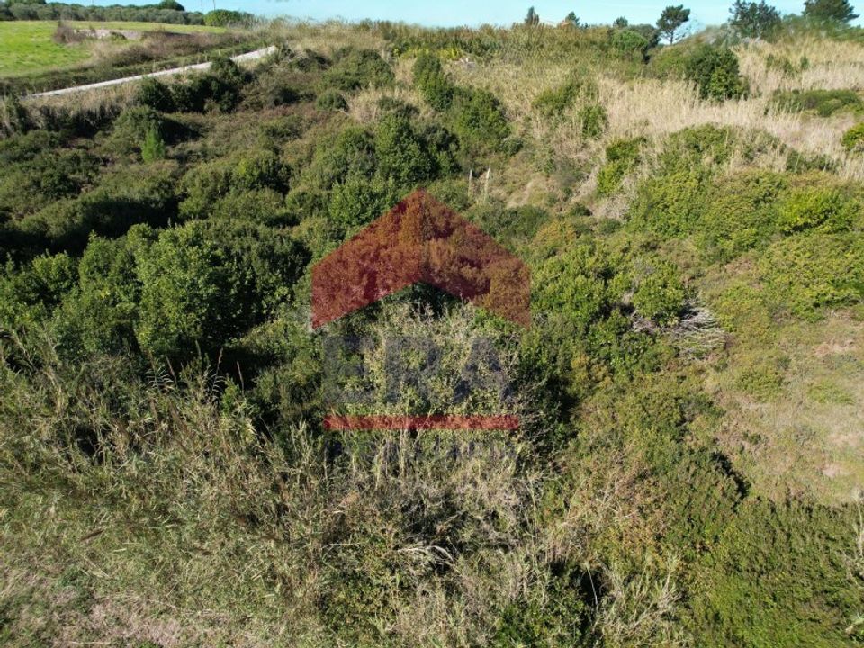 Helårsgrund i Santo Onofre e Serra do Bouro, Leiria - foto 5