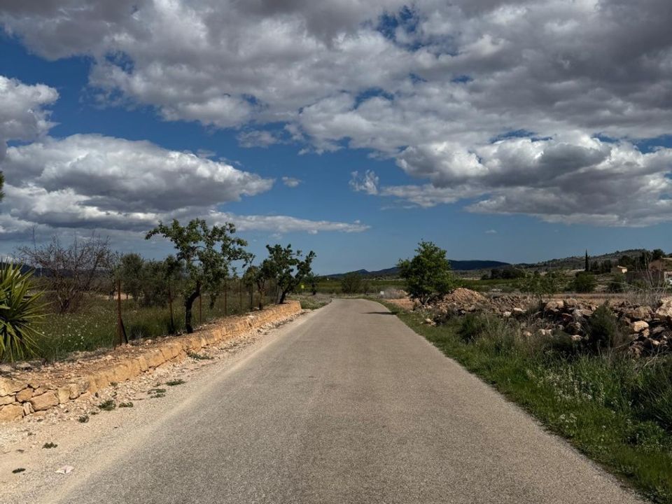 Helårsgrund i Pinoso, Alicante - foto 2