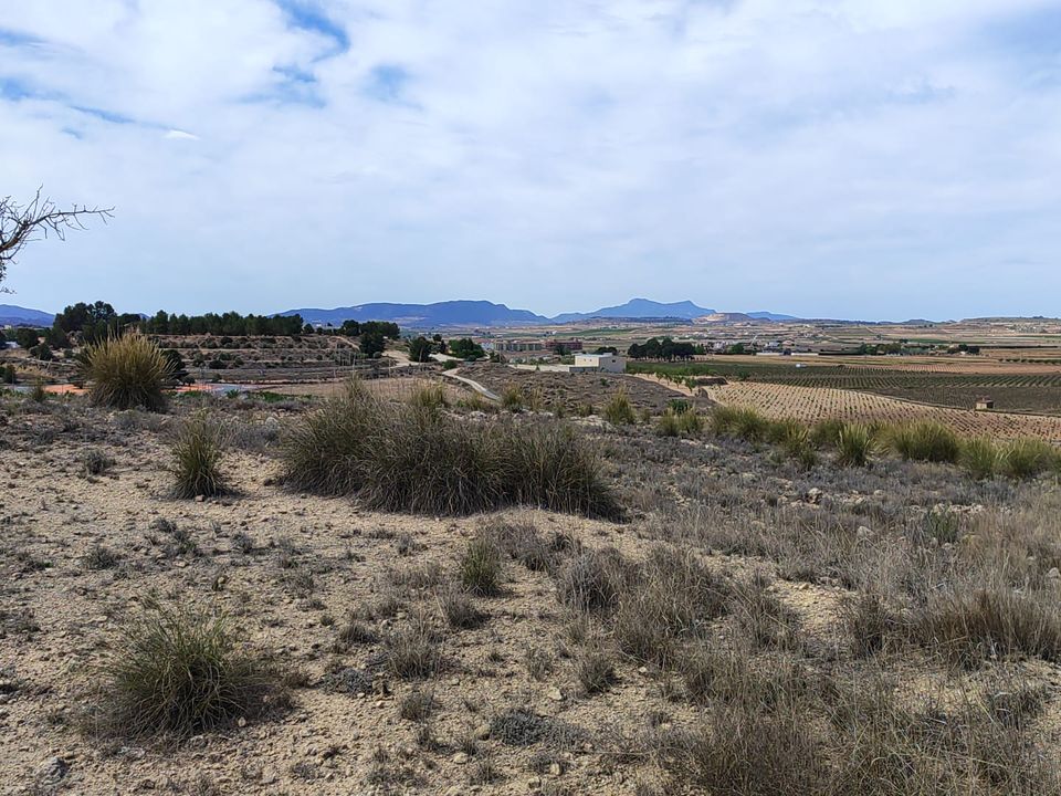Helårsgrund i Pinoso, Alicante - foto 3