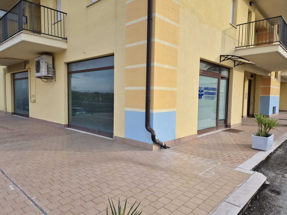 Erhvervsejendom i Altino, Chieti - foto 1