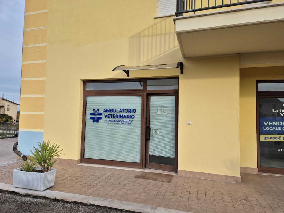 Erhvervsejendom i Altino, Chieti - foto 2