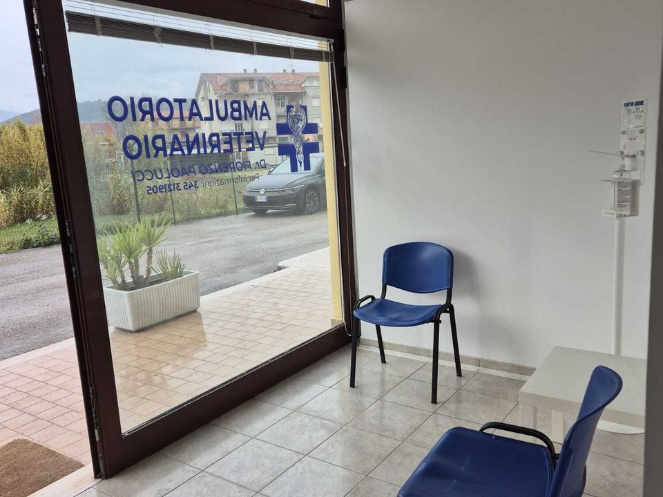 Erhvervsejendom i Altino, Chieti - foto 4