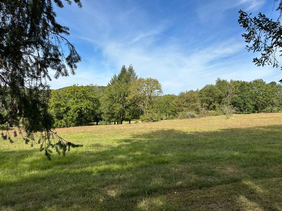 Helårsgrund i Saint-Jean-De-Cole, Dordogne - foto 3