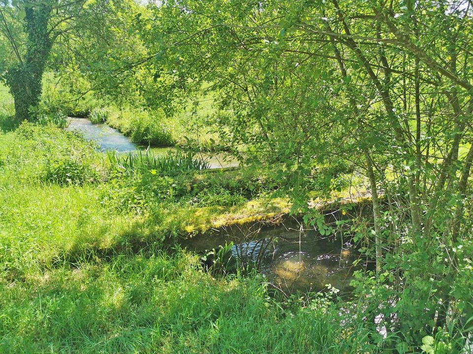 Villa i Saint-Genies, Dordogne - foto 4