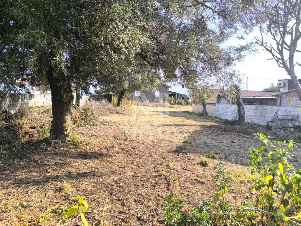 Helårsgrund i Barroselas, Viana do Castelo - foto 4
