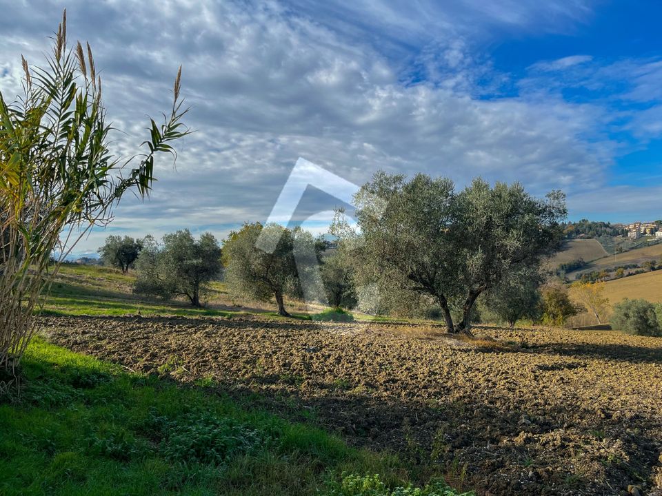 Villa i Belvedere Ostrense, Ancona - foto 2