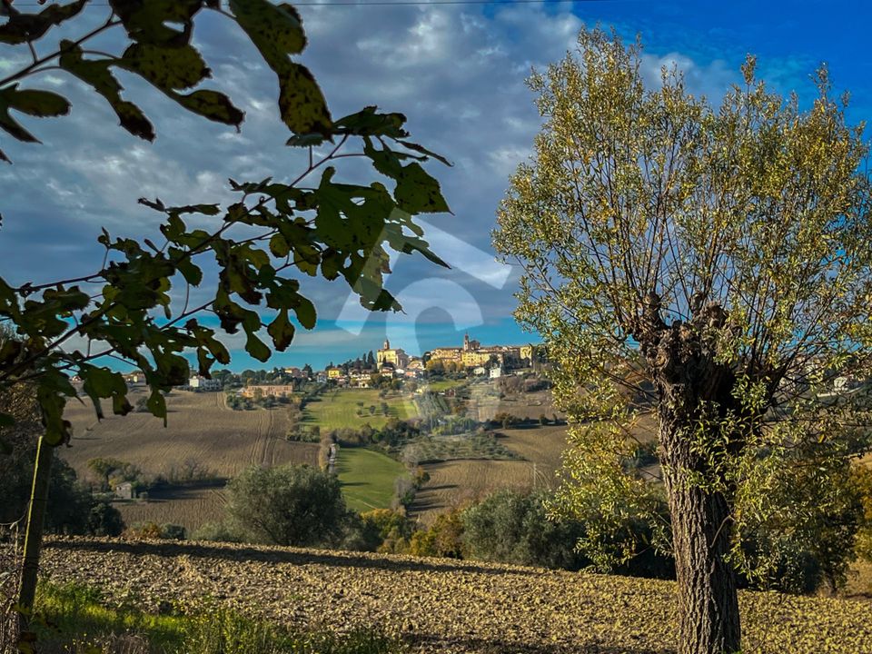 Villa i Belvedere Ostrense, Ancona - foto 4
