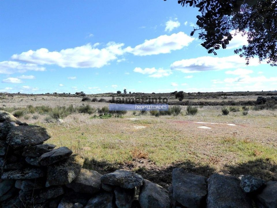 Helårsgrund i Figueira de Castelo Rodrigo, Guarda - foto 1