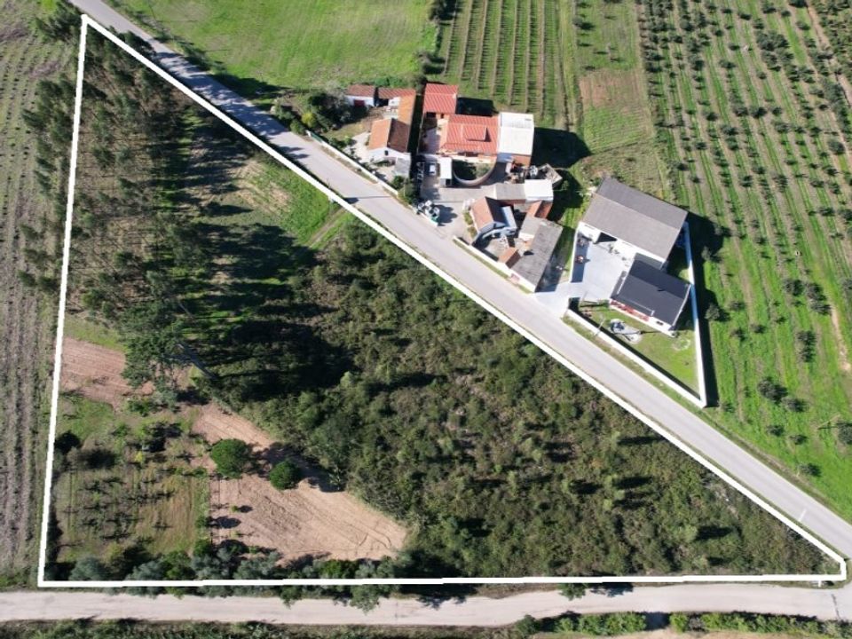 Helårsgrund i Carvalhal, Leiria - foto 2