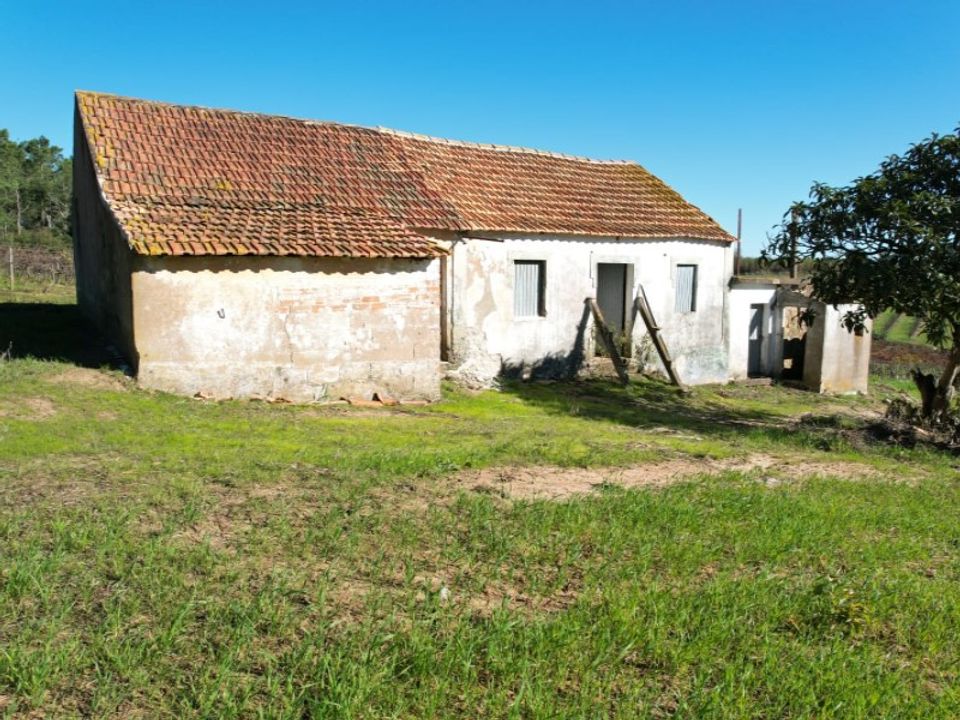 Landejendom i Carvalhal, Leiria - foto 3