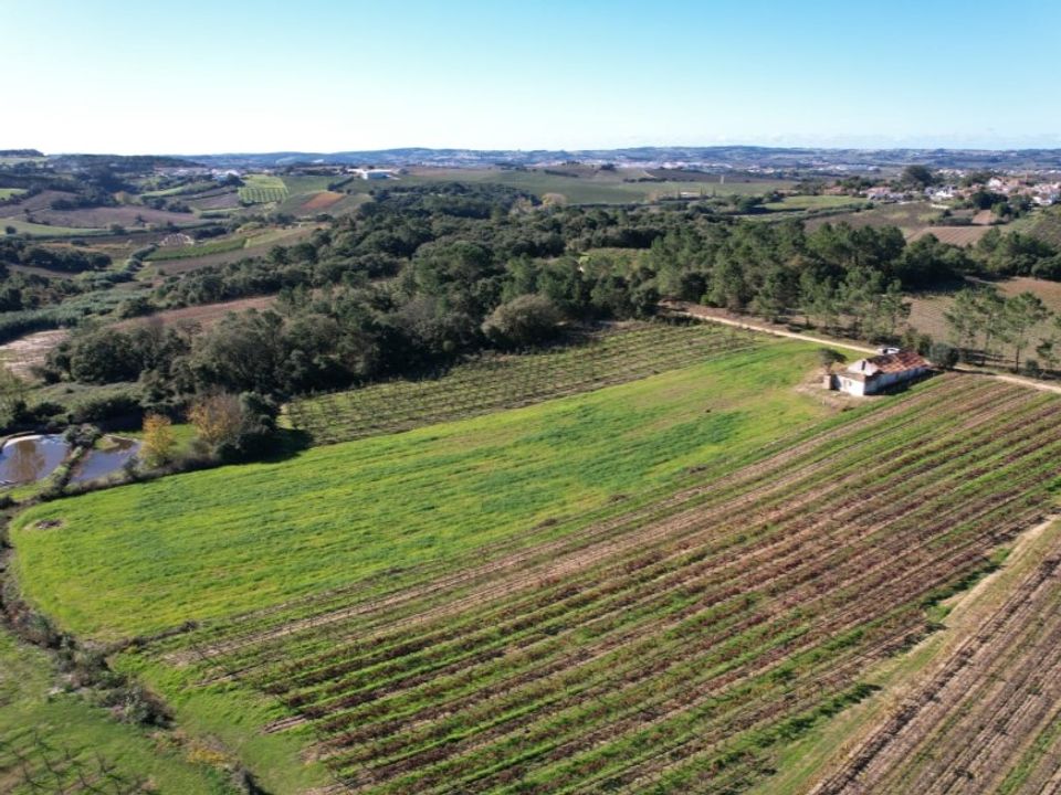 Landejendom i Carvalhal, Leiria - foto 4