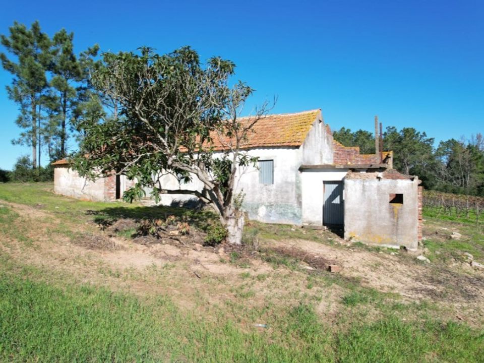 Landejendom i Carvalhal, Leiria - foto 5