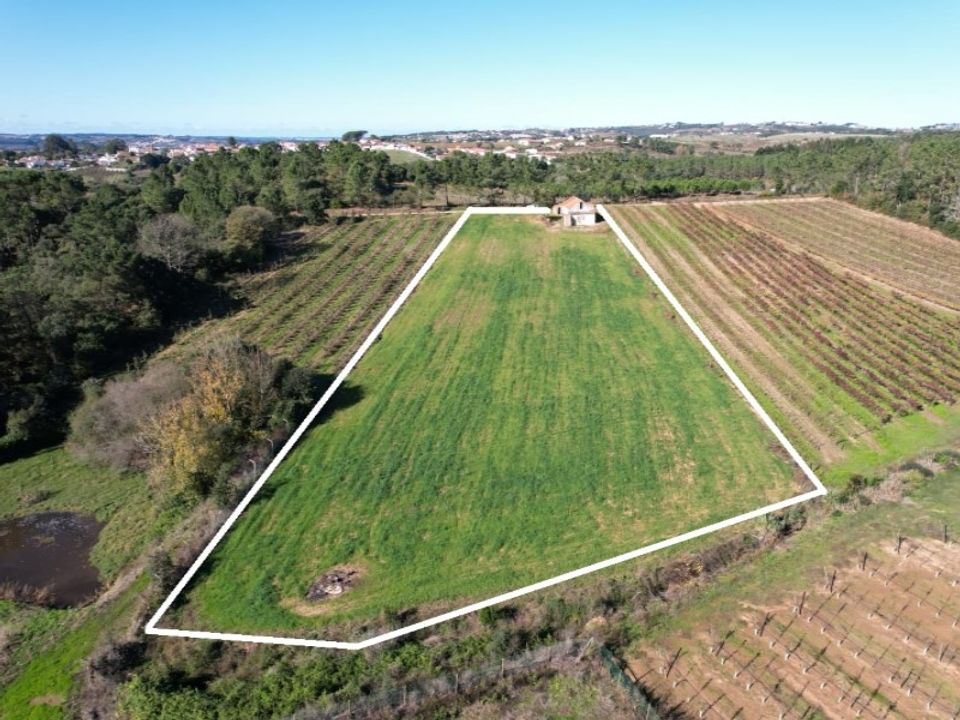 Landejendom i Carvalhal, Leiria - foto 2