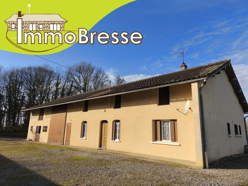Farm hus i Vernoux, Ain - foto 1