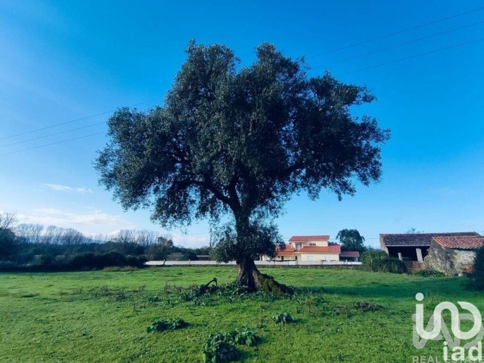 Terra a Valenca, Viana do Castelo - foto 1