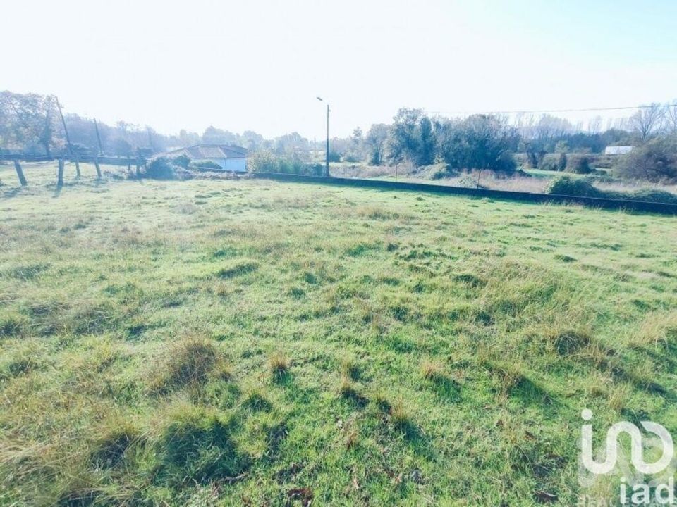 Terra a Valenca, Viana do Castelo - foto 5