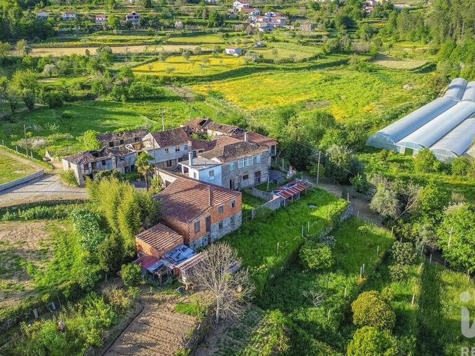 Farm i Sao Pedro do Sul, Viseu - foto 3