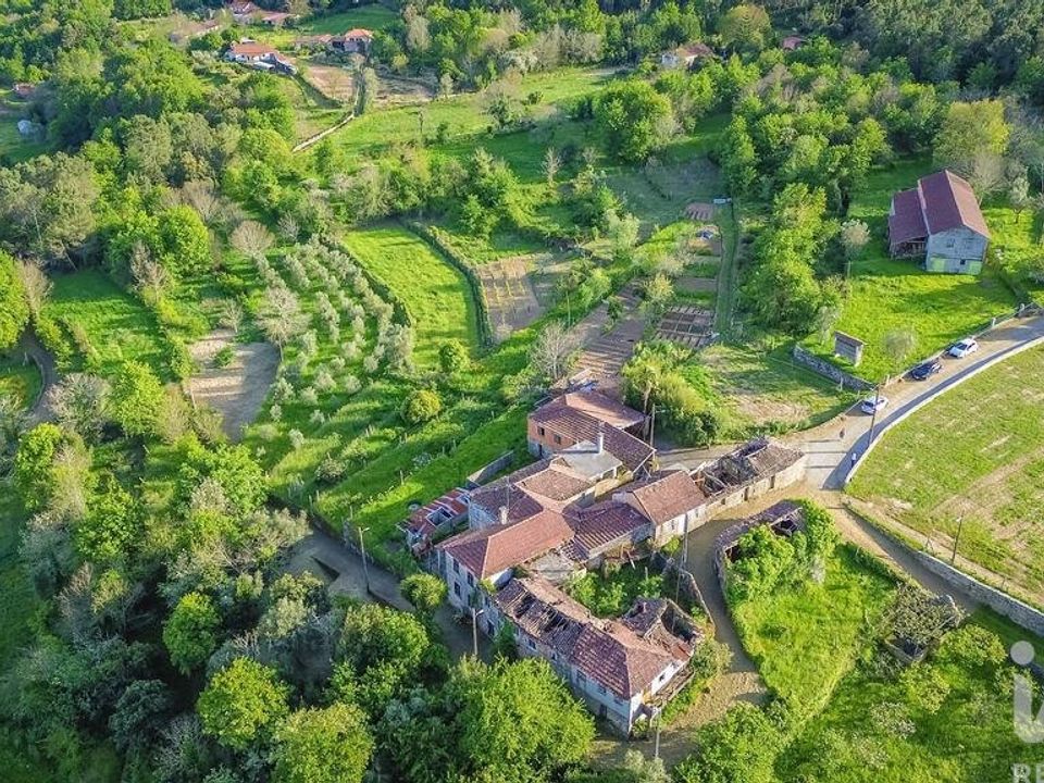Farm i Sao Pedro do Sul, Viseu - foto 4