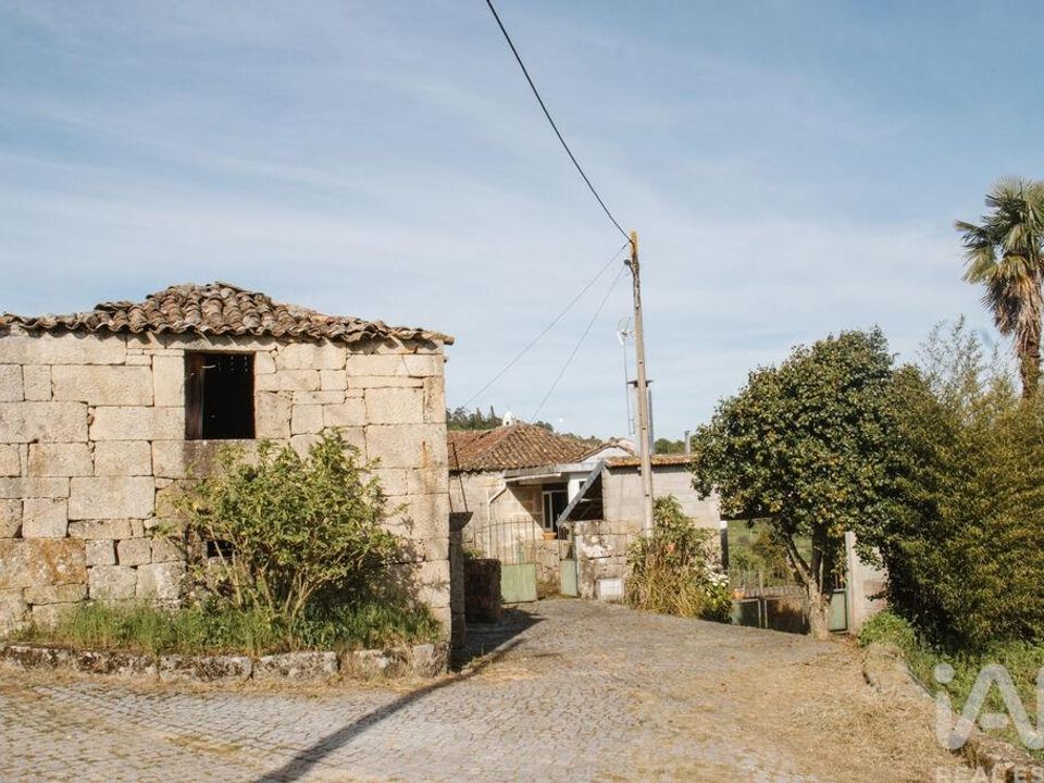 Farm i Sao Pedro do Sul, Viseu - foto 5