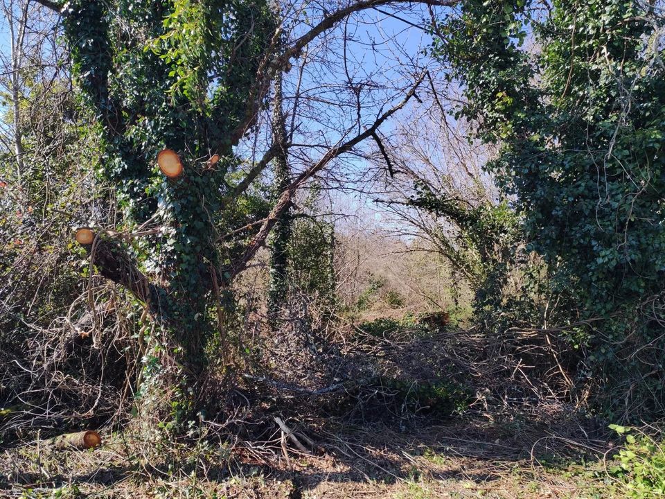 Helårsgrund i Piegut-Pluviers, Dordogne - foto 2
