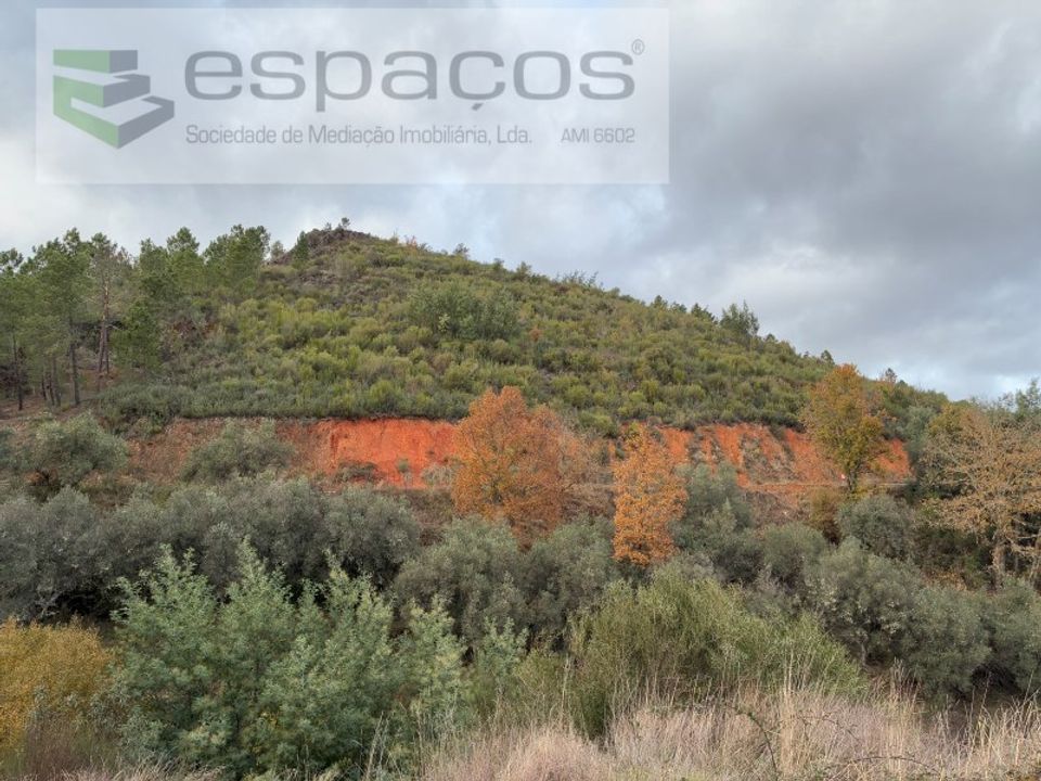 Farm i Fundao, Castelo Branco - foto 1