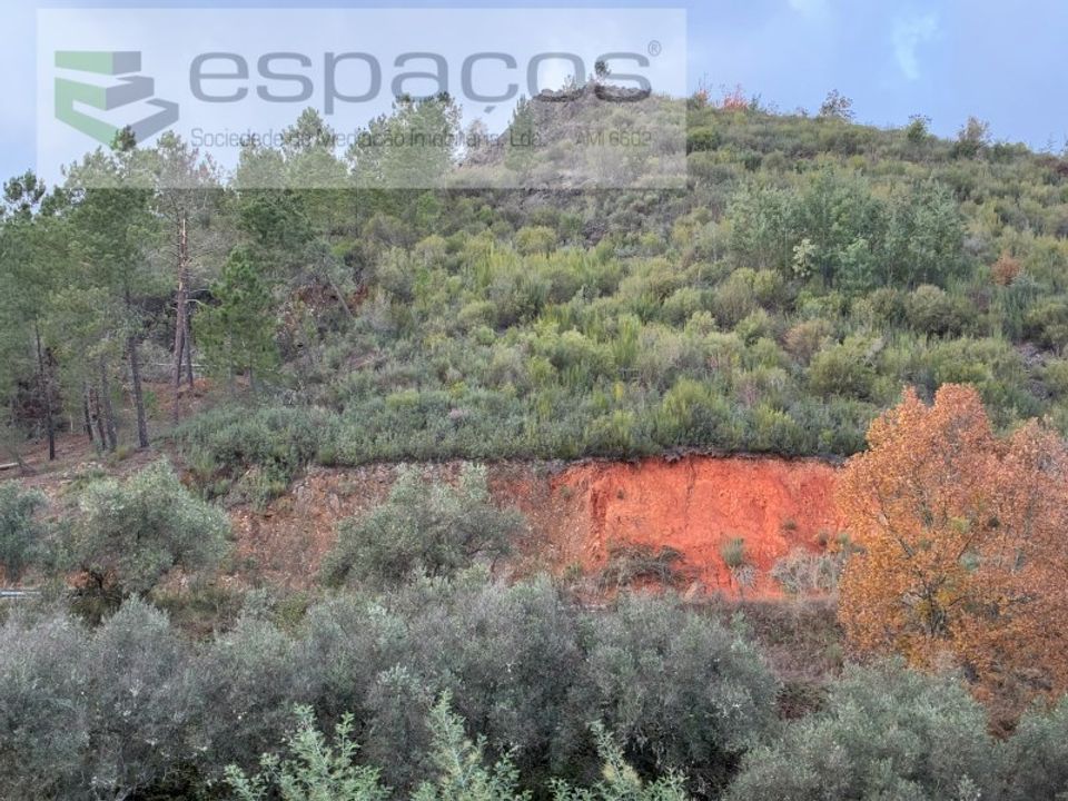 Farm i Fundao, Castelo Branco - foto 3