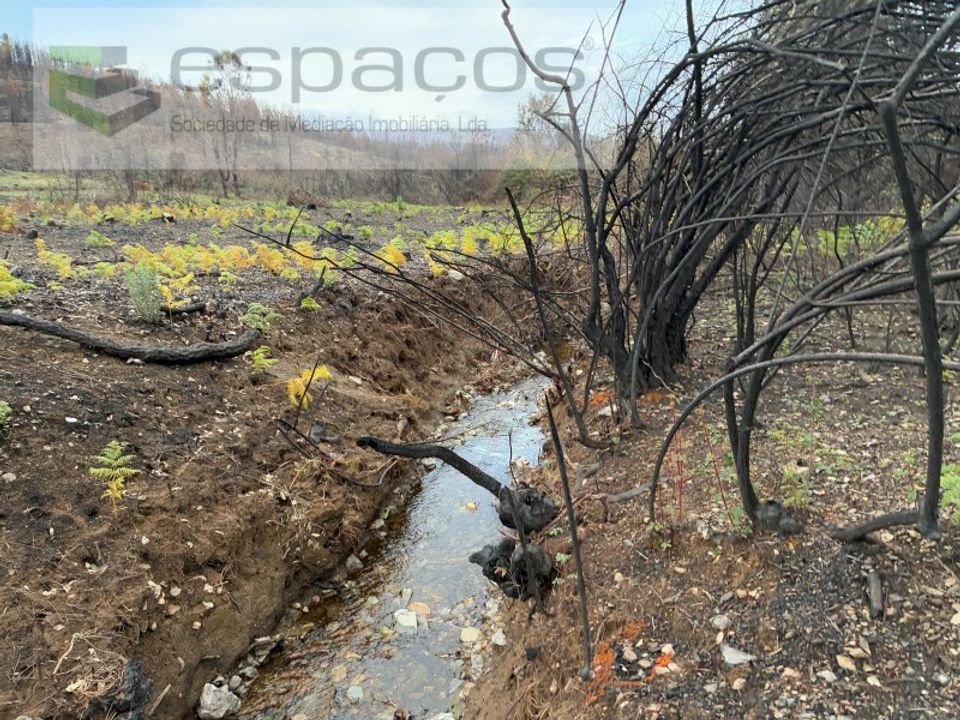 Farm i Fundao, Castelo Branco - foto 4