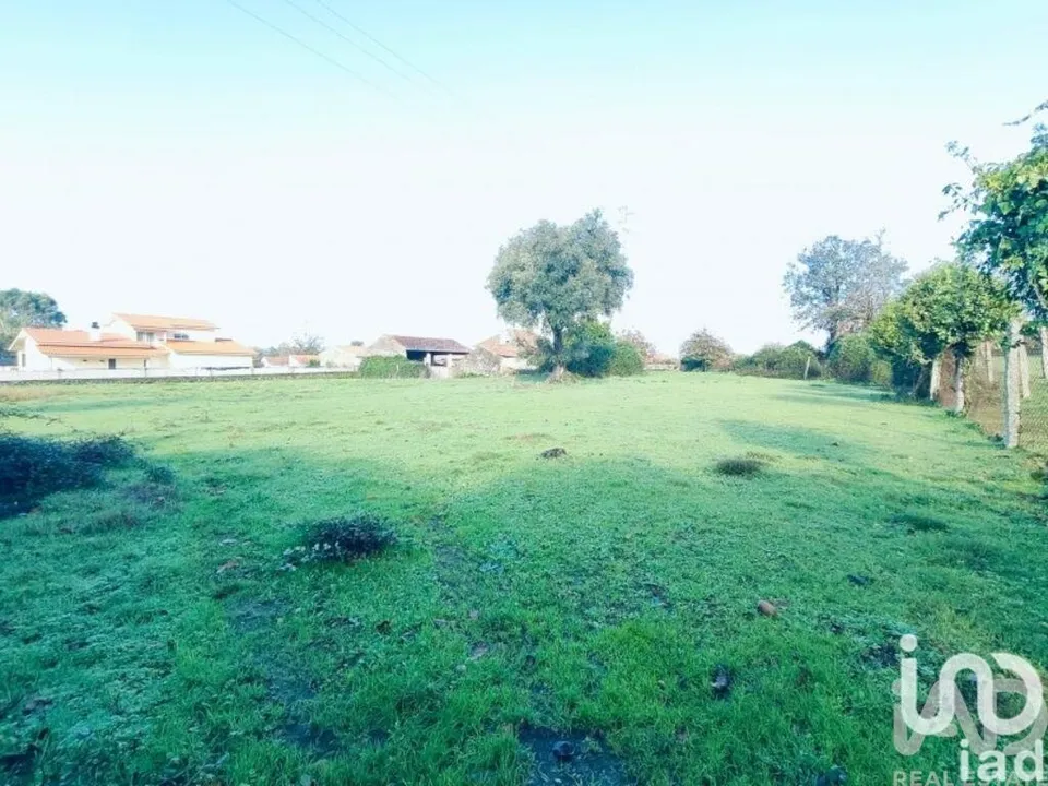 Terra a Valenca, Viana do Castelo - foto 2