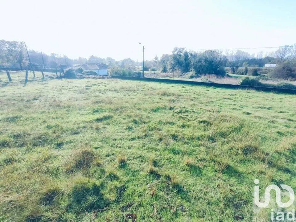 Terra a Valenca, Viana do Castelo - foto 3