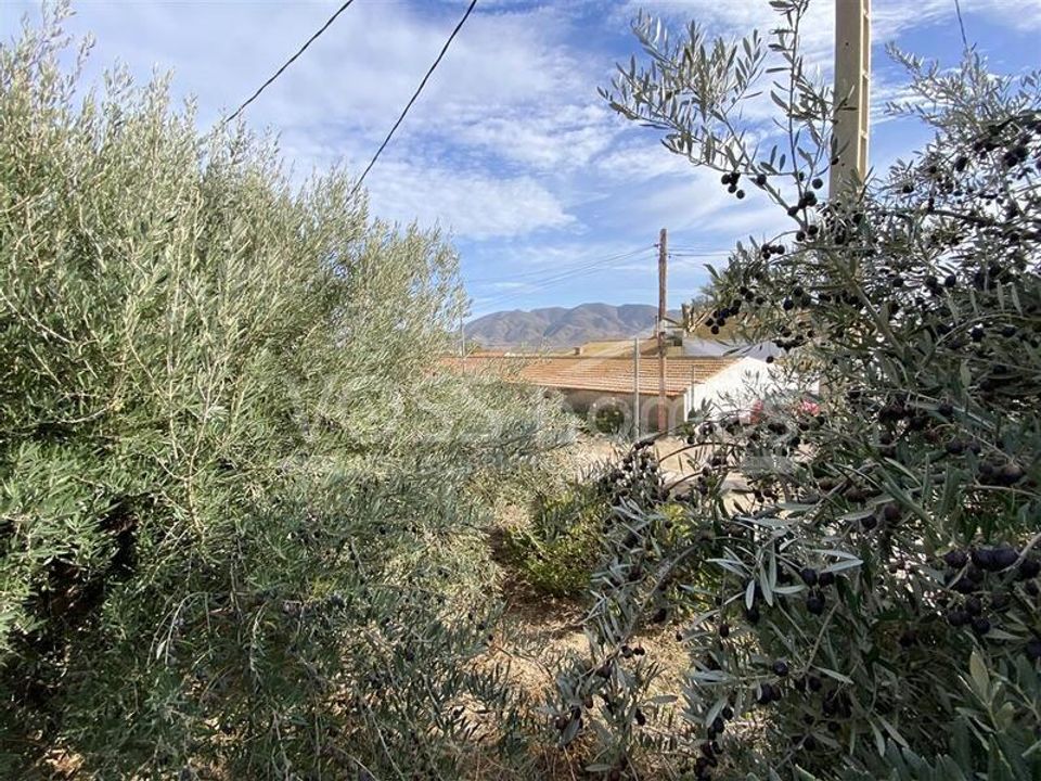 Landejendom i Huercal-Overa, Almeria - foto 5