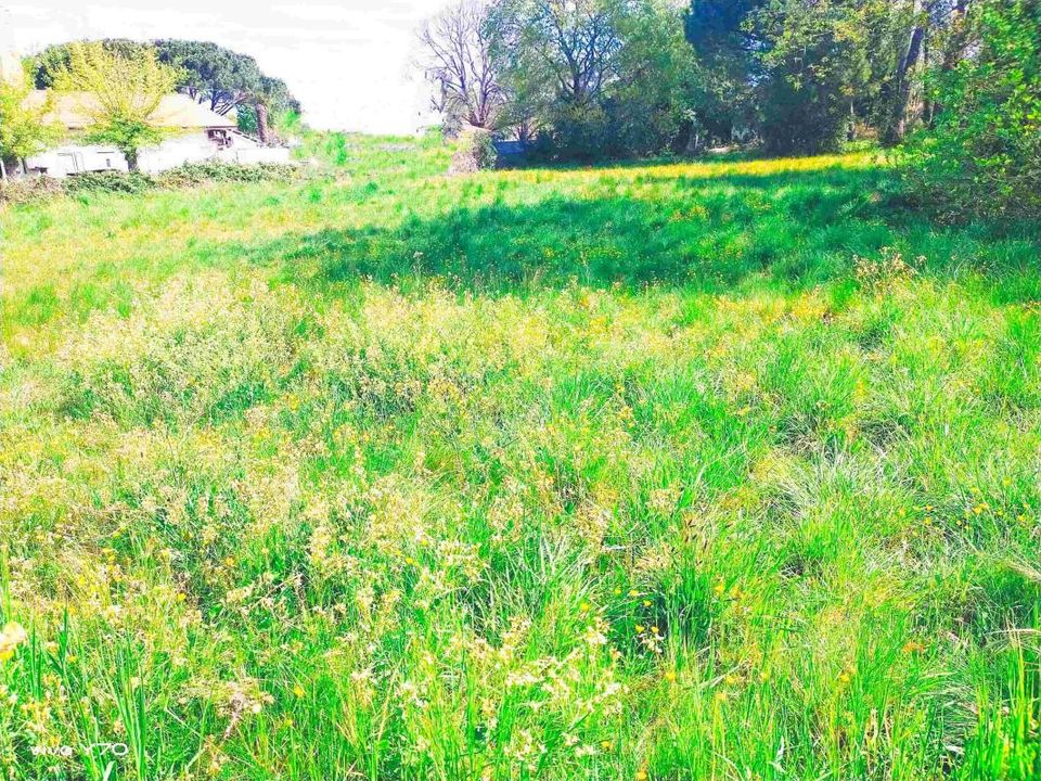 Helårsgrund i Parentis-en-Born, Landes - foto 1